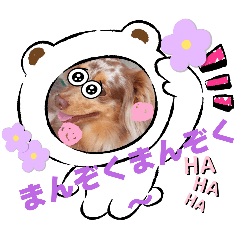 Sakura_20250806225050