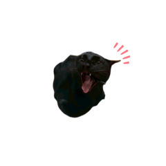 Takeru_20250805230138