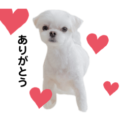 yuka_20250805231108