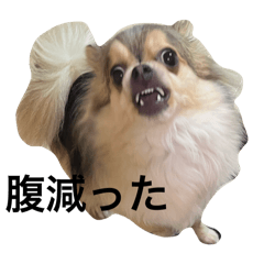 riara_20250806120051