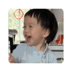 家有會動熊寶第二彈