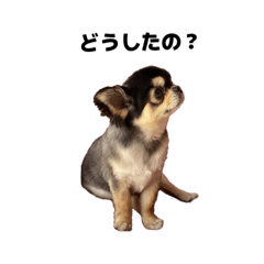 kobayashisan_20250806220154