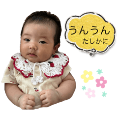 norimi_20250806000303