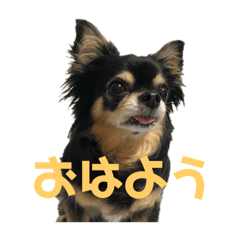 Chihiro_20250806100130