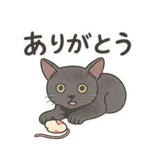 shiho_20250806103031