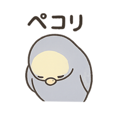 ayu_20250806102725