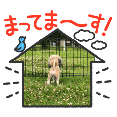 kana_20250806124601