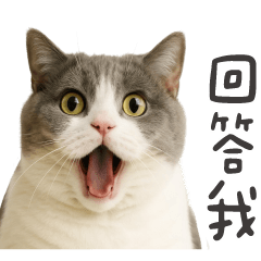 喵喵星球 3★愛嗆聲