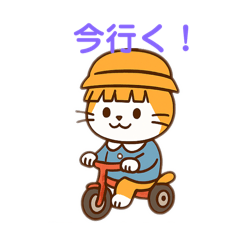 茶白猫の「カツラ」