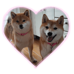 kurumi_20250806083338