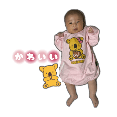 Koara_20250806120513