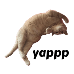 CHUBBY_20250807020123