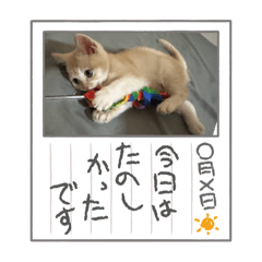 hina mama_20250806113432