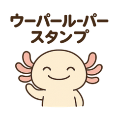 AXOLOTL TALK  Phrases for Every Day