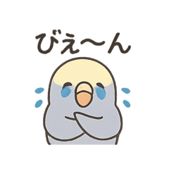 ayu_20250806075830