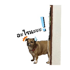 Putty_20250806225932