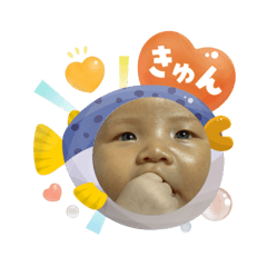 maple_20250807103035