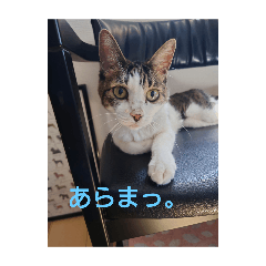 Kaori_20250806144035