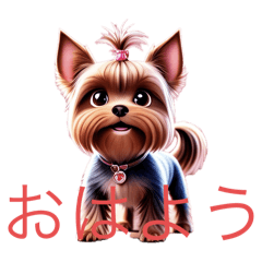 Yorkshire terrier cute