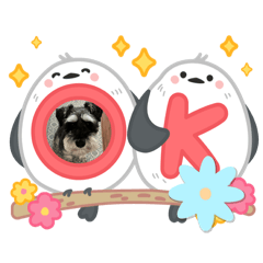 sachi_20250806214553