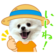 Justin_20250806233300