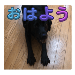 daichi_20250806211652