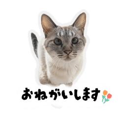 Riho....
