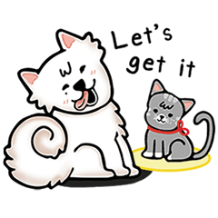Peach samoyed Dog & Osw Cat