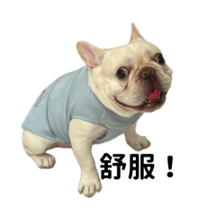 馬鈴薯豬豬_日常用語２