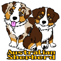 Australian Shepherd Sticker RM RT