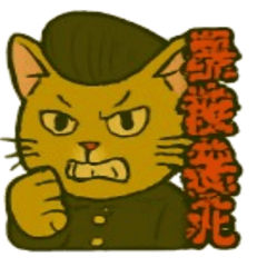 Nice to meet you cats