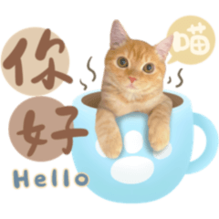 Momo and Pipi's daily life