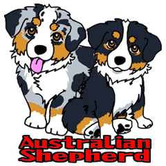 Australian Shepherd Sticker BM BT