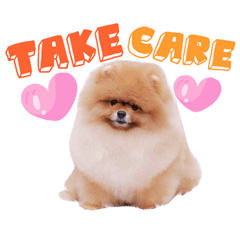 Hello, my name is Apao.