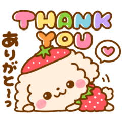 strawberry toypoodle part2