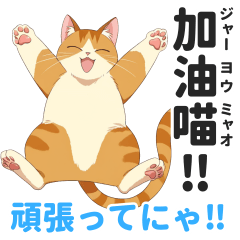 猫の日常会話（繁体字中国語＋日本語訳）