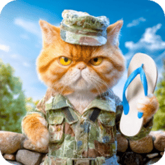 เกิดมาเป็นทหาร : แมวส้ม ดุ๊กดิ๊ก ขยับได้