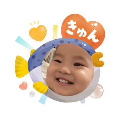hachi_20250807161914
