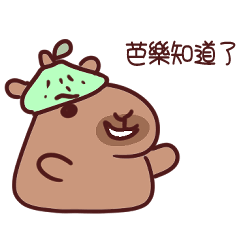 卡比芭樂-可愛水豚11 迷因的安可曲