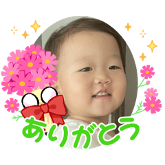 lemon_20250807065631