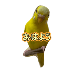 m_20250807080449
