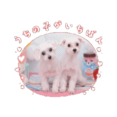 yukko_20250807152055