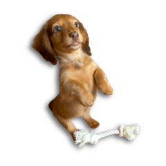 1122ern_20250807180243