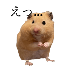 Honey_20250807200255