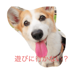 AYUMI_20250807200530