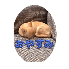 rinko_20250807201132