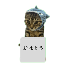 RENBOO_20250807200716