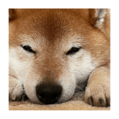 natsu_20250807210125