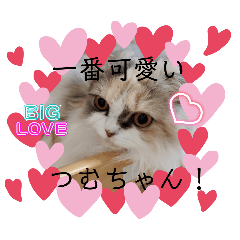 Ayame_20250807120228