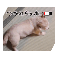 kaori_20250807221240